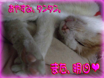 （θωθ）おやすみ～☆