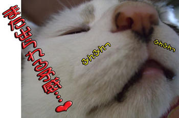d(￣ ￣)　ヾ(^o^;オイオイ・・・
