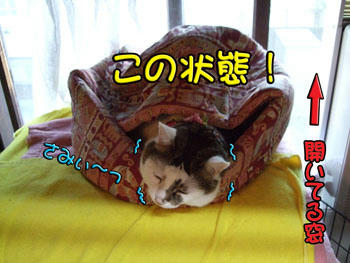 少し動きなさい！