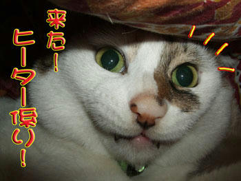 違うでしょ！（怒）