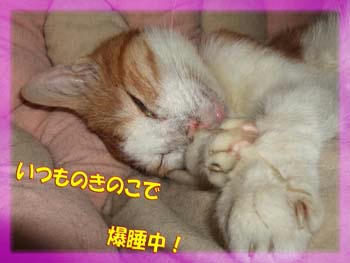 おやすみ！