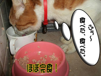 良く食べたね。