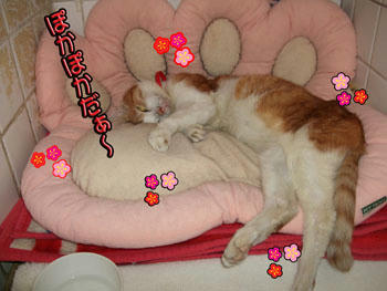 伸びてるぅ～