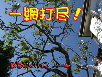 ( ﾟ-ﾟ)( ﾟﾛﾟ)(( ﾛﾟ)ﾟ(((　ﾛ)~ﾟ ﾟﾅﾝﾄ!!!