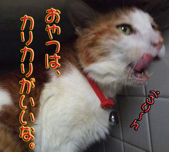 おやつは外せない！
