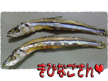 いらっしゃ～い。