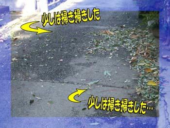 落ち葉が凄い！