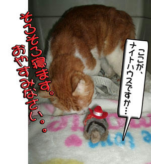 ~(=^‥^)ノ☆ おやすみニャ。