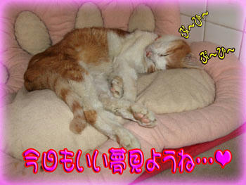 （θωθ）おやすみ～☆