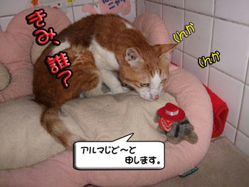 いい感じ。。