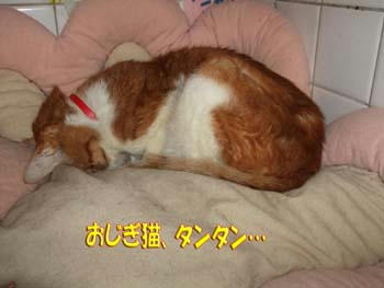 珍しいね…