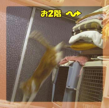 早すぎてカメラがツイてけない