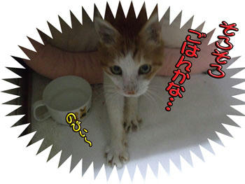 お待たせ…