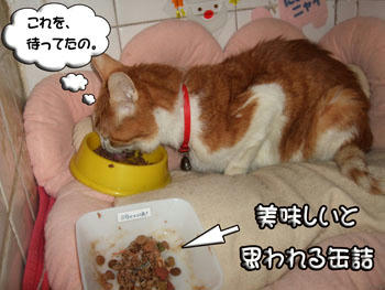 ヾ(--;)ぉぃぉぃ