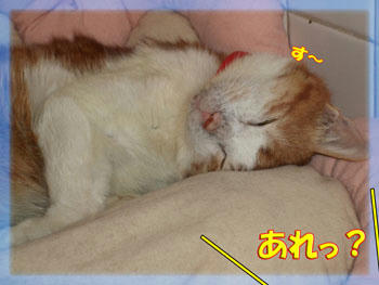 何時の間に…