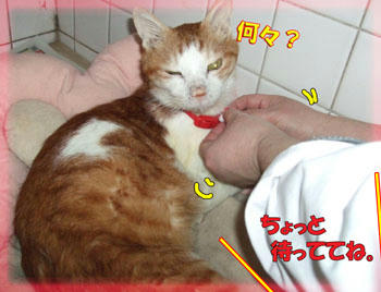動かないでね～！