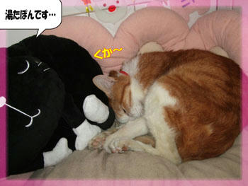 （θωθ）おやすみ～☆
