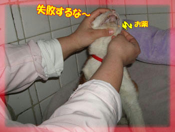 (≧≦) ゴメンヨー