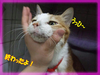 さっぱりしたね。