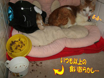 たべたっ～～～！！