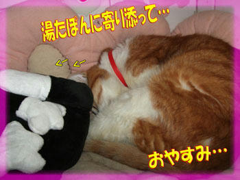 添い寝付き