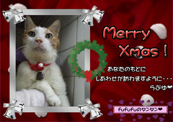 ('ｰ'*)Merry*Christmas(*'ｰ')o