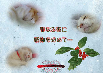 カレンダーバージョン