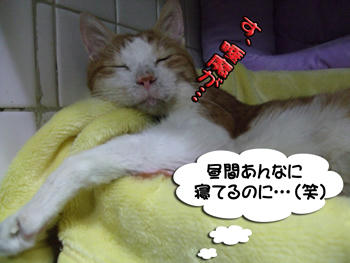 がんばれ~!
