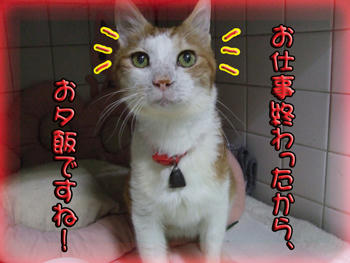 遅くなったね。