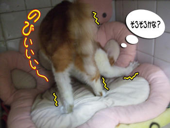 おっ！