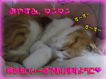 騒がしくても大丈夫！