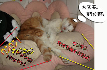 慣れてるもんね。