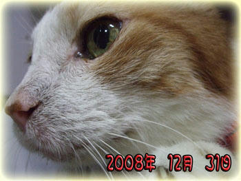 2008 12 31♪