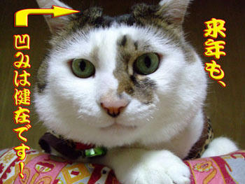 (* ̄ー ̄*)ふふん!!