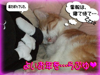ありがとうございました。m(_ _"m)ペコリ