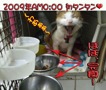 こんばんわぁo(^-^ o )