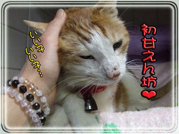 やっぱこれだね❤