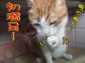 キレイにしなさい。(*´∇｀*)