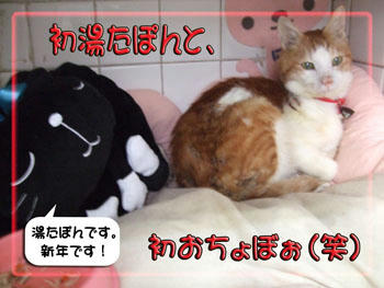 ２００９年　湯たぽん。