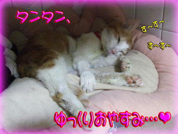 ☆GOODNIGHT☆