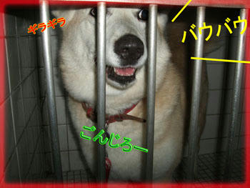 狙っちゃダメだよ!
