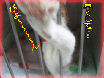 わかったよ！