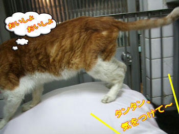注意してね。