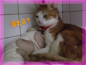 才才－!!w(ﾟoﾟ*)w