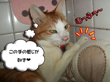 そうだよね。v('▽^*)ォッヶー♪