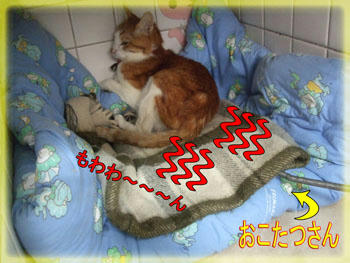 良い感じ♪