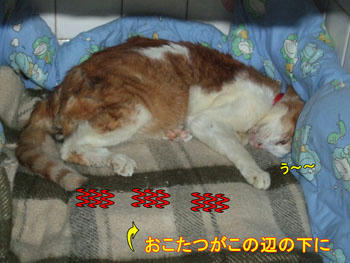 寝た…