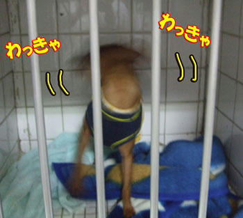 おわわ~~~