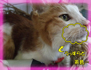 分かるかな?