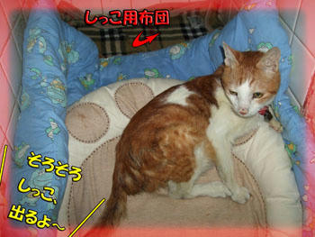 どうかな？